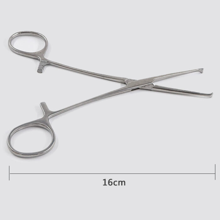 Allis Tissue Forceps (3)