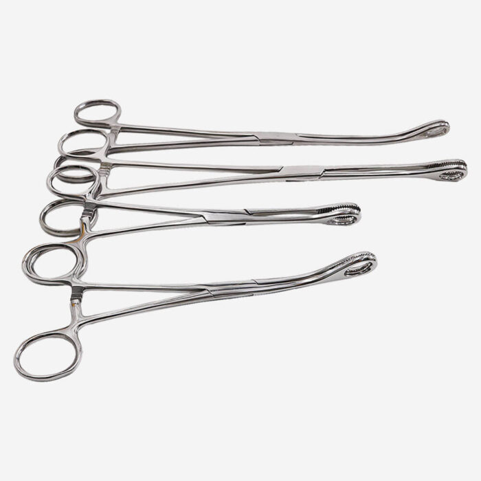 sponge holding forceps (1)