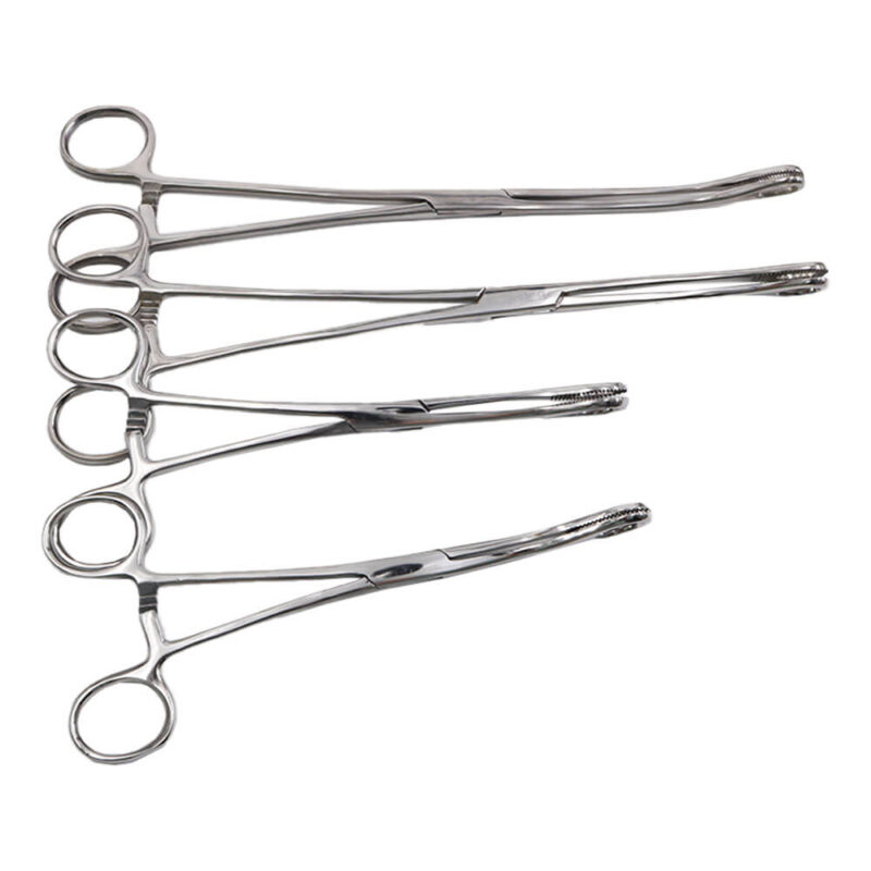 sponge holding forceps (10)