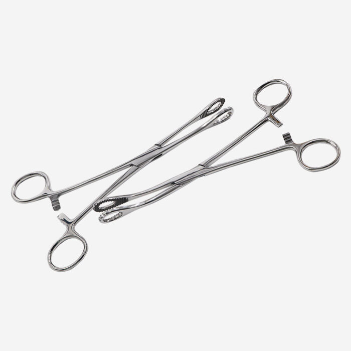 sponge holding forceps (3)