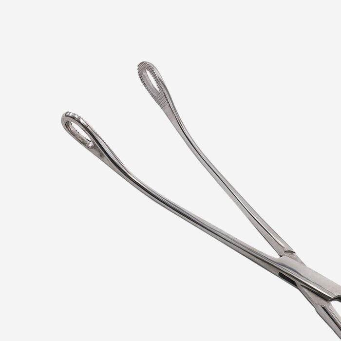 sponge holding forceps (6)